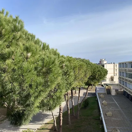 Apartmán T2 Confortable Avec Wifi, Loggia Spacieuse, Garage A - Fr-1-553-289 Balaruc-les-Bains
