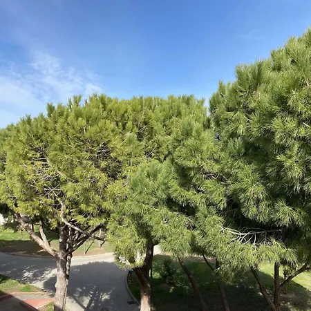 T2 Confortable Avec Wifi, Loggia Spacieuse, Garage A - Fr-1-553-289 Apartmán Balaruc-les-Bains